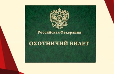 Хочешь стать охотником – сдай экзамен: новые правила получения охотбилета начали работать в регионе