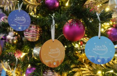 Новогодние пожелания детей Новосибирской области исполнят Губернатор и региональные министры в рамках акции «Ёлка желаний»