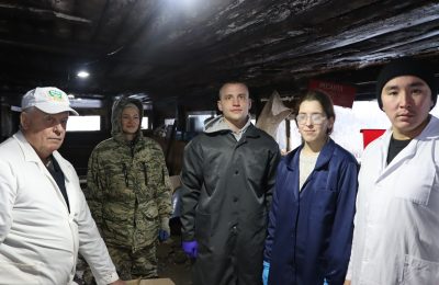 Студенты третьего курса Новосибирского государственного аграрного университета проходят практические занятия в Коченёвском районе