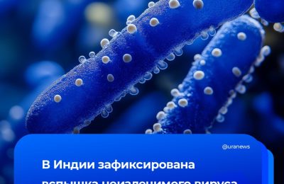Неизлечимый вирус распространяется по Индии
