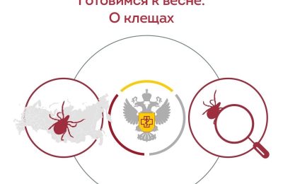 Сезон клещей: готовимся заранее