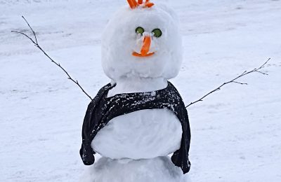 Ожидается пасмурный день