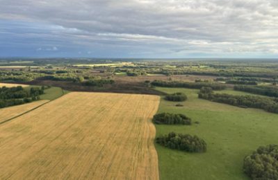 Торговые предприятия региона получат господдержку на доставку продукции в отдалённые сельские районы