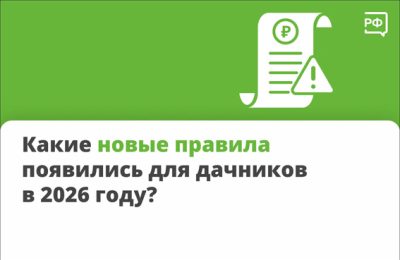 Какие новые правила для дачников появились в 2026 году