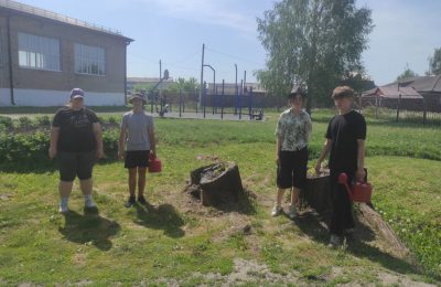 Летние каникулы с пользой и удовольствием
