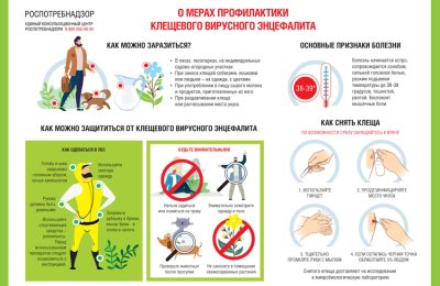 Меры профилактики клещевого вирусного энцефалита