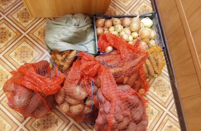 Сбор овощей – и не только – продолжается!