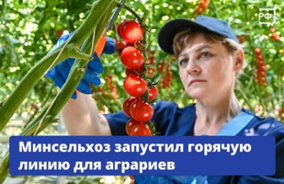 «Горячая линия» Минсельхоза