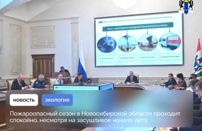 Пожароопасный сезон в Новосибирской области проходит спокойно, несмотря на засушливое начало лета