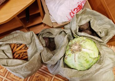 Сбор овощей – и не только – продолжается!