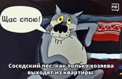 Собачий лай: как решить эту проблему?