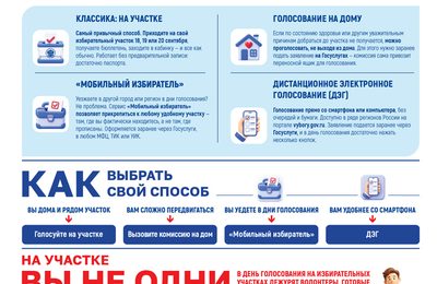 Голосовать можно по-разному