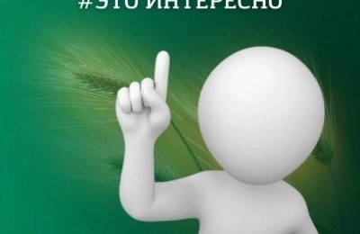Смартфон для первоклассника: стоит ли покупать