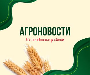 Первыми завершили уборку!