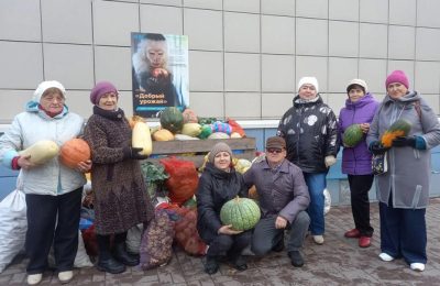 Путешествие в Новосибирский зоопарк и участие в акции «Помоги животным»