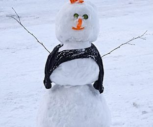 Синоптики прогнозируют тёплую зиму